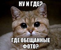 ну и где? где обещанные фото?