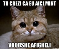 tu crezi ca eu aici mint voobshe afigheli