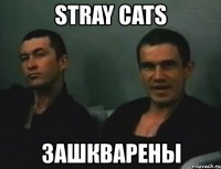 stray cats зашкварены