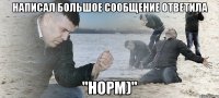 написал большое сообщение ответила "норм)"