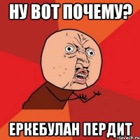 ну вот почему? еркебулан пердит