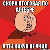 скоро итоговая по алгебре а ты нихуя не учил