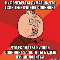 ну почему ты думаешь,что если тебе купили спиннинг за 1к что если тебе купили спиннинг за 1к,то ты будеш лучше ловить?