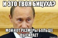 и это твоя бицуха? мой кот размеры больше высирает