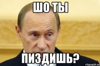 шо ты пиздишь?