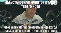 мы установили монитор в гавно твоего кота чтобы он смог посмотреть кинцо когда ты будешь его тыкать носом в его гавно