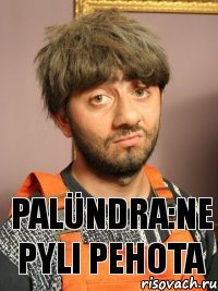 palündra:ne pyli Pehota