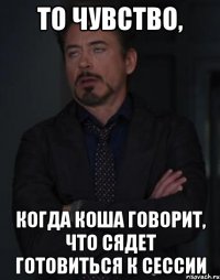 то чувство, когда коша говорит, что сядет готовиться к сессии