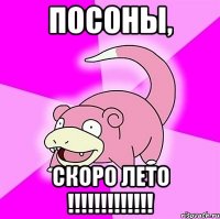 посоны, скоро лето !!!