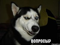 ВОПРОСЫ?