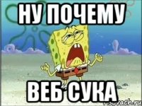 ну почему веб сука