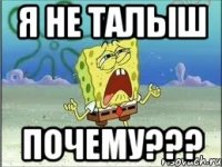 я не талыш почему???