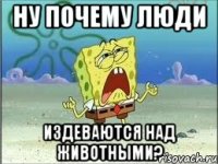 ну почему люди издеваются над животными?