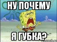 ну почему я губка?