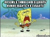 почему в гимназиях в школу нужно ходить и в субботу 