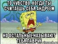 то чувство, когда ты считаешь себя андреем но остальные называют тебя лаврук