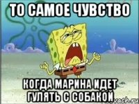 то самое чувство когда марина идет гулять с собакой