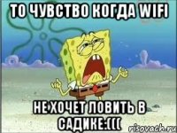 то чувство когда wifi не хочет ловить в садике:(((