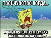 твое чувство когда... сдал теорию спервого раза,и завалился на парковке