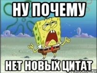 ну почему нет новых цитат