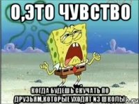 о,это чувство когда будешь скучать по друзьям,которые уходят из школы