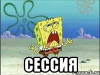  сессия