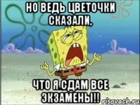 но ведь цветочки сказали, что я сдам все экзамены!!