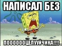 написал без пооооооцелууйчика!!!