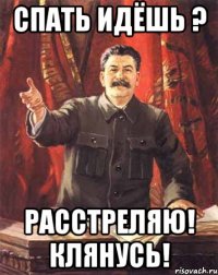 спать идёшь ? расстреляю! клянусь!