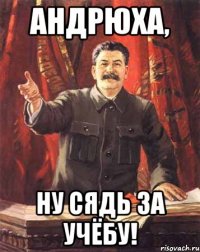 андрюха, ну сядь за учёбу!