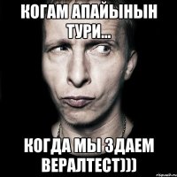 когам апайынын тури... когда мы здаем вералтест)))