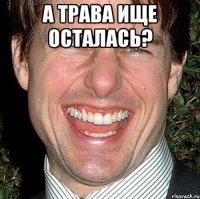 а трава ище осталась? 