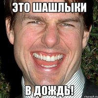 это шашлыки в дождь!