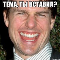 тёма, ты вставил? 