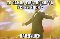 то самое чувство когда встретился с пандушей