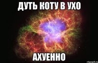 дуть коту в ухо ахуенно