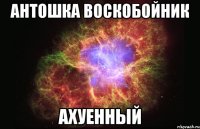 антошка воскобойник ахуенный