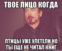 твое лицо когда птицы уже улетели но ты еще не читал книг