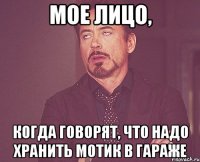 мое лицо, когда говорят, что надо хранить мотик в гараже