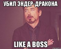 убил эндер-дракона like a boss