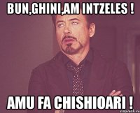 bun,ghini,am intzeles ! amu fa chishioari !