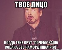 твое лицо когда тебе орут "почему ваша собака без намордника!?!?!"