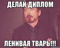 делай диплом ленивая тварь!!!