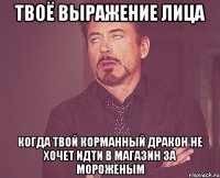 твоё выражение лица когда твой корманный дракон не хочет идти в магазин за мороженым