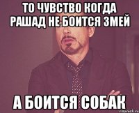 то чувство когда рашад не боится змей а боится собак