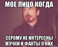 мое лицо когда серому не интересны жучки и факты о них