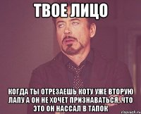 твое лицо когда ты отрезаешь коту уже вторую лапу а он не хочет признаваться, что это он нассал в тапок