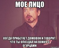 мое лицо когда прибегает домовой и говорит, что ты опоздал на войну с огурцами