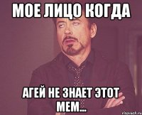 мое лицо когда агей не знает этот мем...