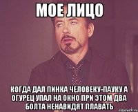 мое лицо когда дал пинка человеку-пауку а огурец упал на окно при этом два болта ненавидят плавать